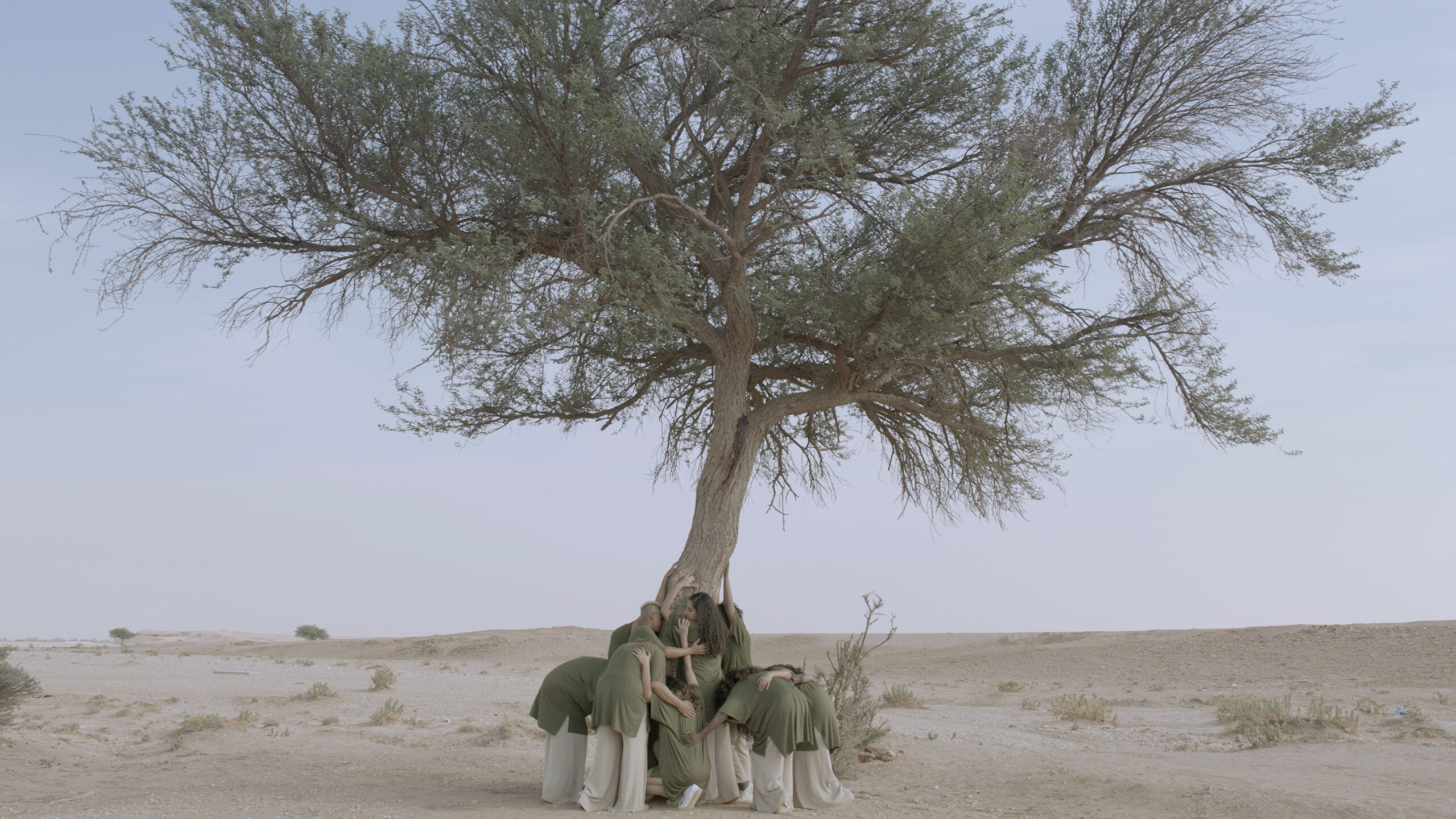 Group of performers moulded around a tree in the desert