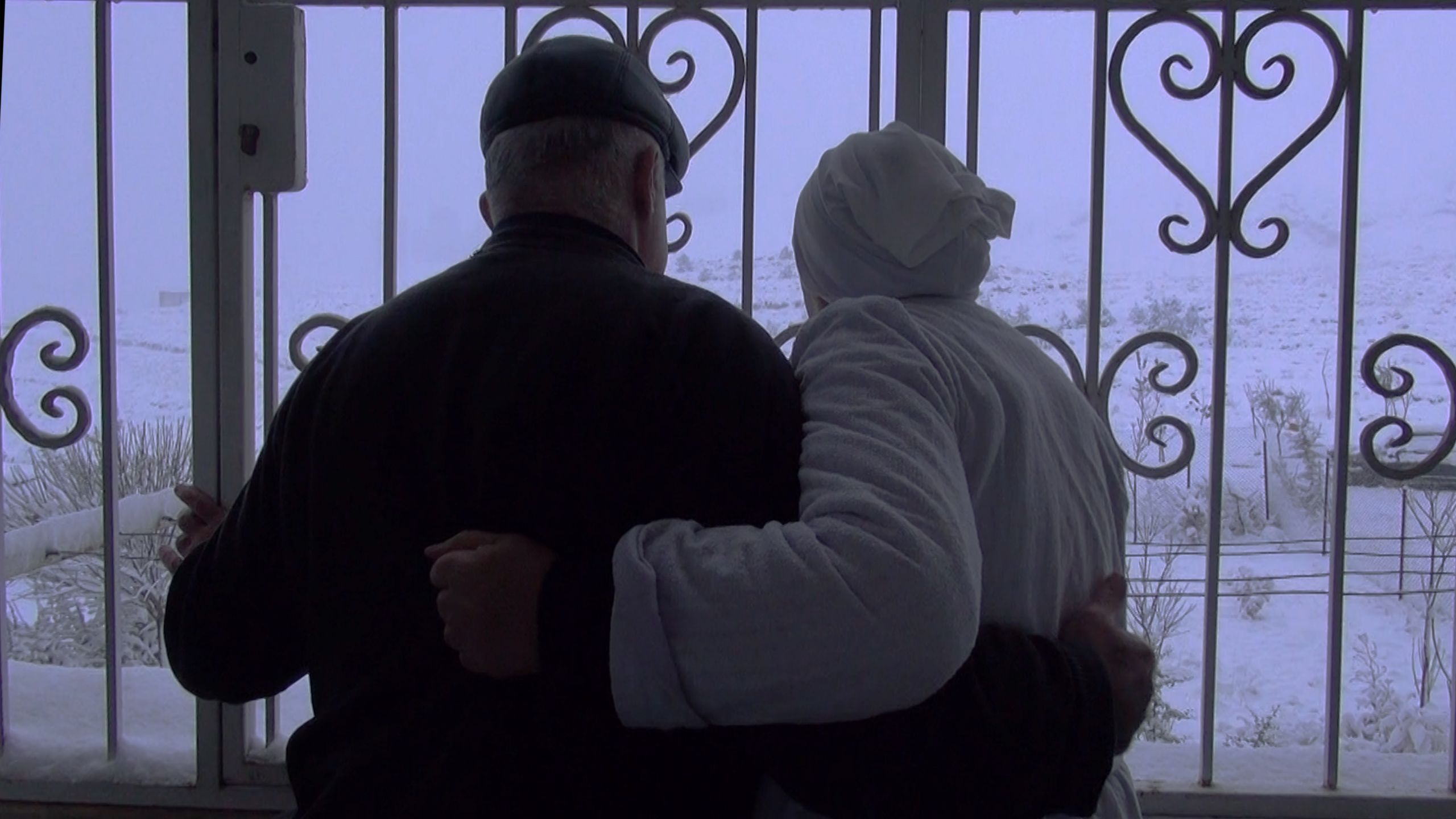 A couple with their back to the camera and their arms around each other facing looking out of a large decorative gate.