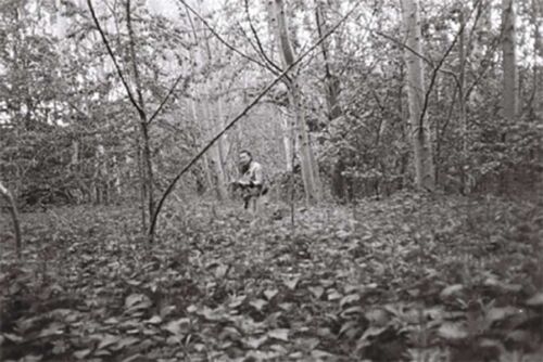 An image of a person in a wooded area