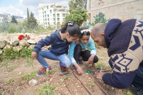 Mohammed Saleh Urban Farming Workshop at Dar Jacir