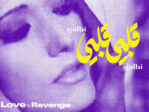 Love & Revenge Galbi FB cover