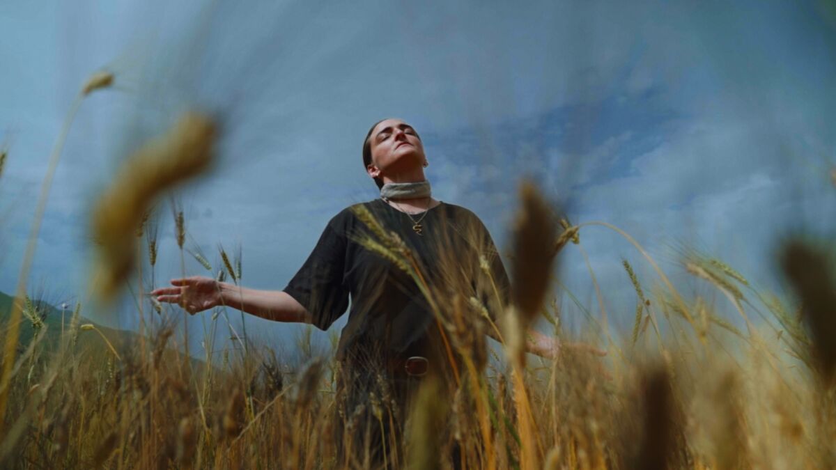 Person standing in a field of corn looking at the sky